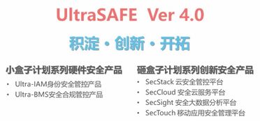 泰岳安全發布企業信息安全管控新品Ultrasafe 4.0，引領信息技術咨詢服務新紀元